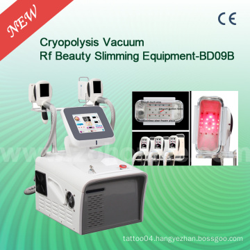 Bd09b Exporter Cryo Cellulite Slimming Machine